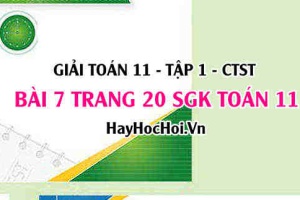 Giải bài 7 trang 20 Toán 11 tập 1 SGK Chân trời sáng tạo